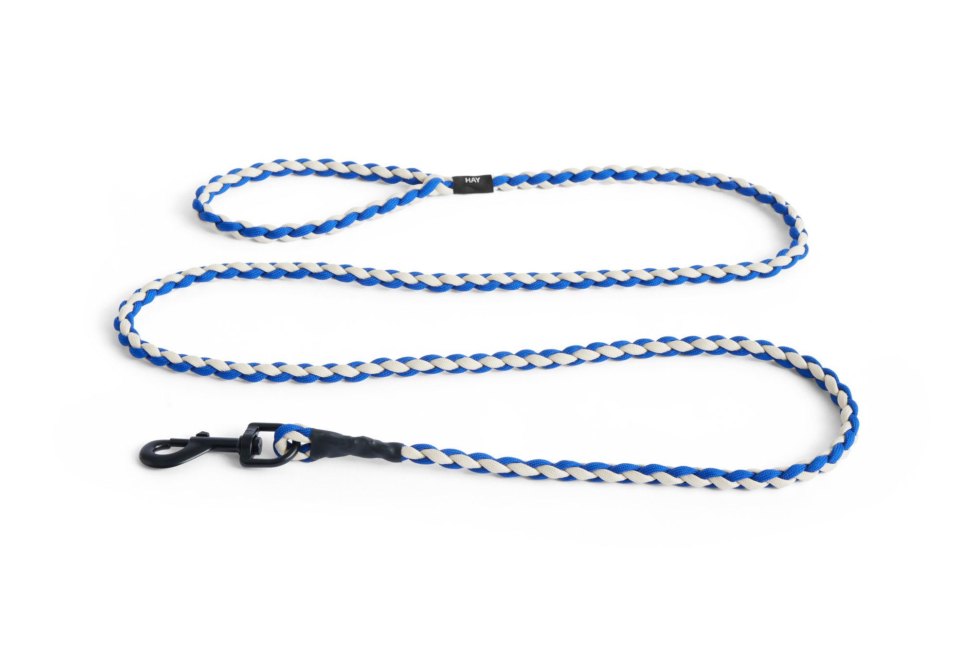 블루 화이트