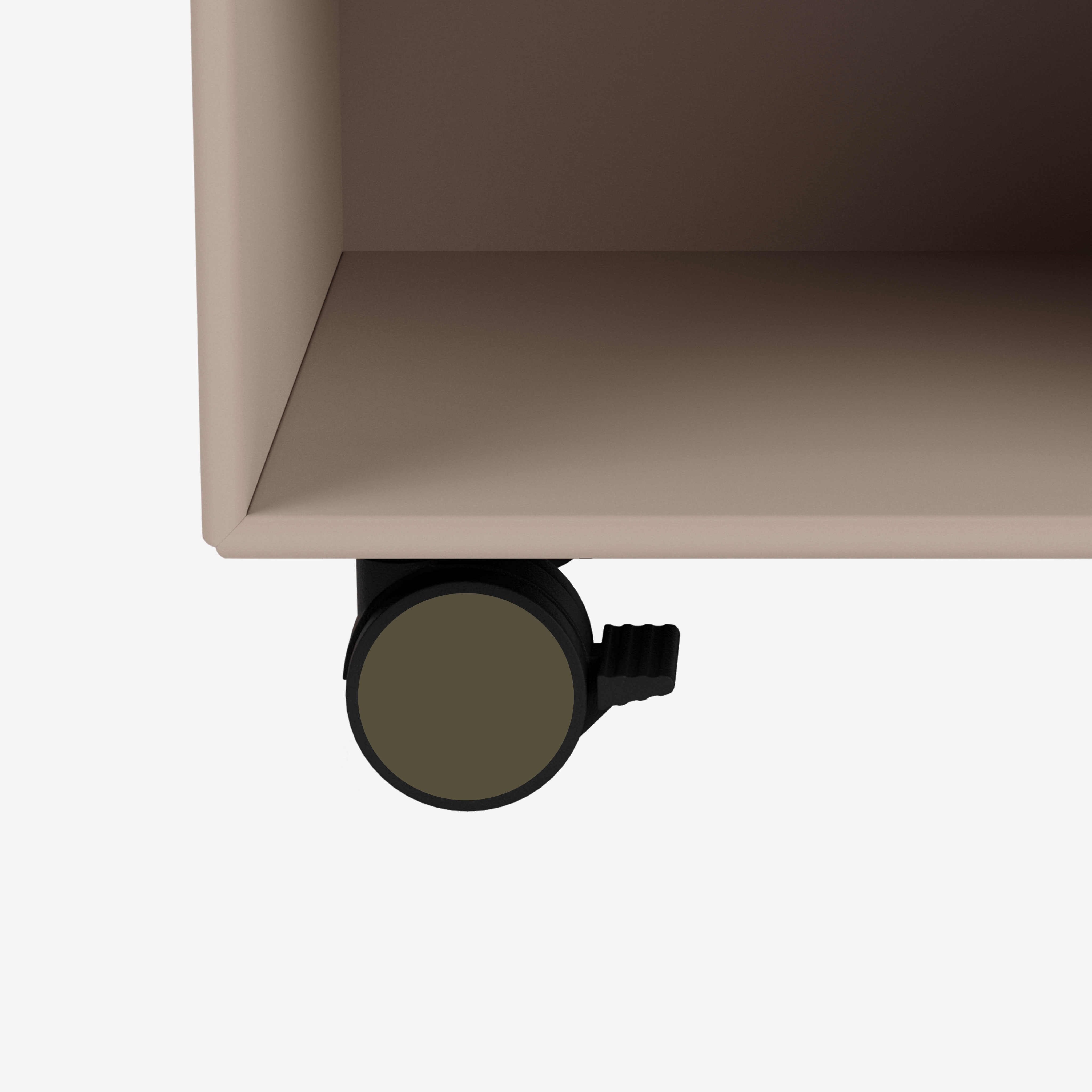 오레가노